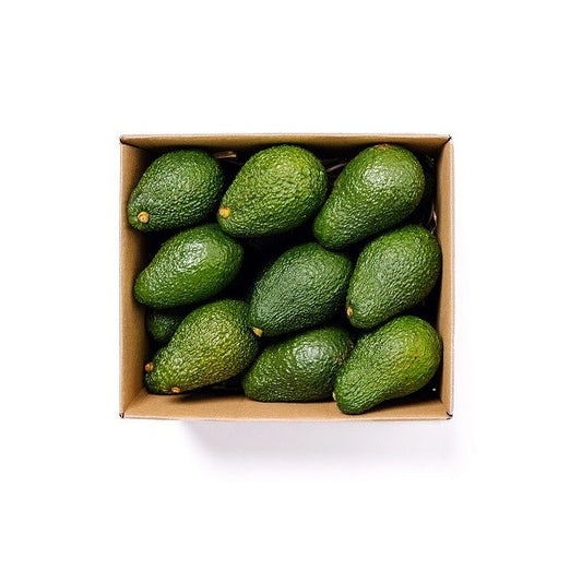 Avocado bio Sicilia 2 kg bauletto
