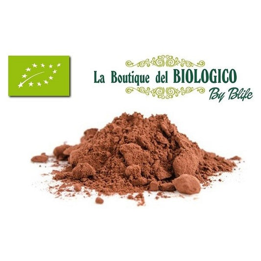 Cacao in polvere bio 10/12 100gr (SFUSO)
