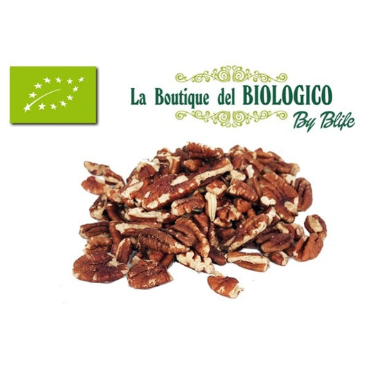Noci Pecan frantumate bio 100 gr (SFUSE)